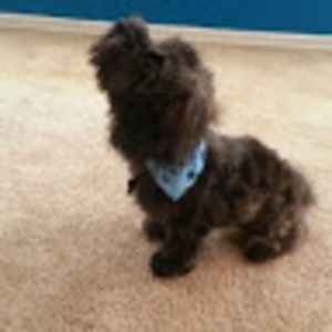 Meet your Posher, Gerardo